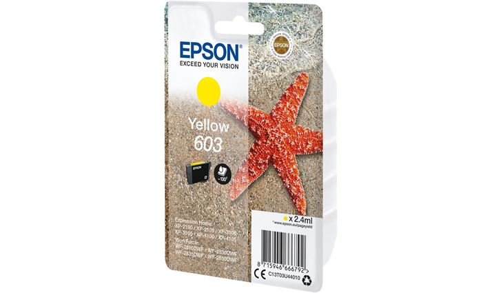Epson 603